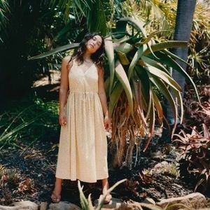 Christy Dawn Lincoln Dress Garden Pollinator Silk Blend, Medium